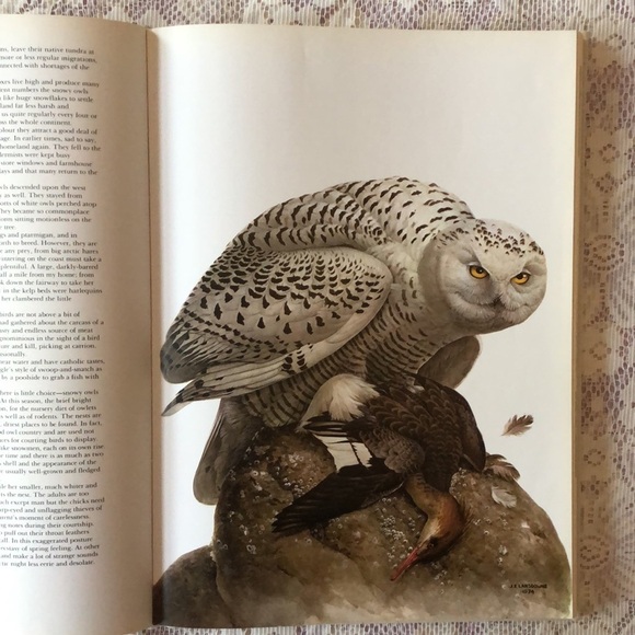 Birds of the West Coast Vol 1 Painting, drawing & text by J.F. Lansdowne. Nature - Picture 17 of 17